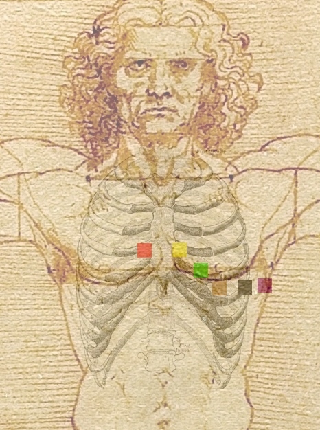 世界のタグ名画 - グレイ解剖学 第1版』およびダ・ヴィンチ『ウィトルウィウス的人間 / レオナルド・ダ・ヴィンチ %>